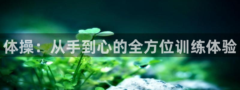 菲律宾ug环球官网：体操：从手到心的全方位训练体验