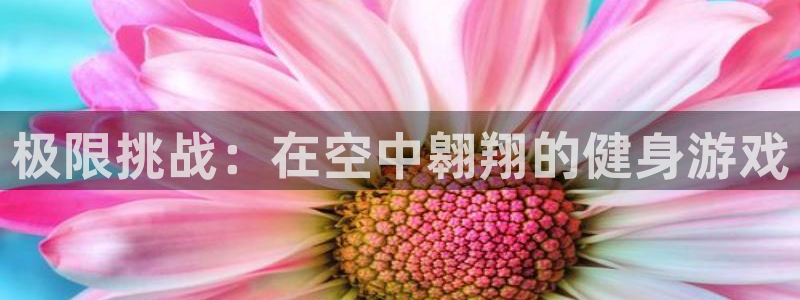 菲律宾ug环球官网：极限挑战：在空中翱翔的健身游戏