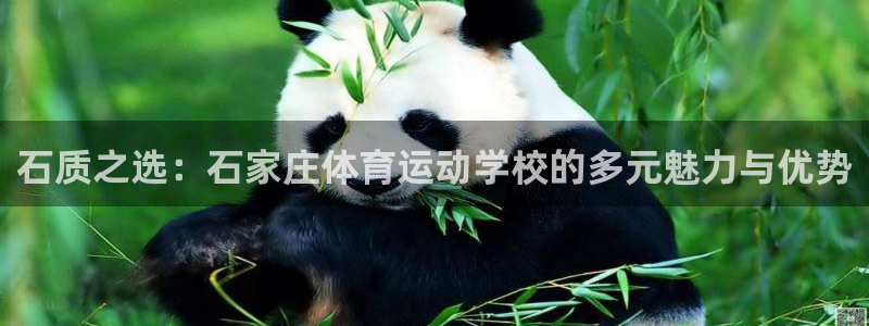菲律宾ug环球官网：石质之选：石家庄体育运动学校的多元魅力与优势