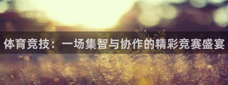 ug环球官网登录入口：体育竞技：一场集智与协作的精彩竞赛盛宴