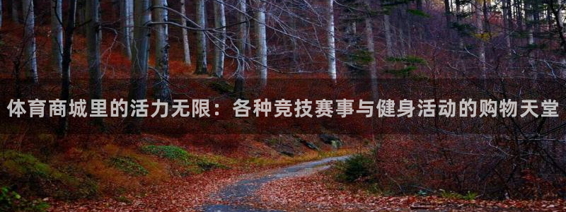 ug环球官网：体育商城里的活力无限：各种竞技赛事与健身活动的购物天堂