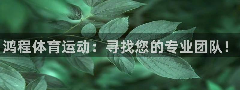 ug环球官网：鸿程体育运动：寻找您的专业团队！